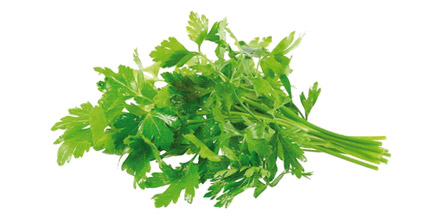 Parsley